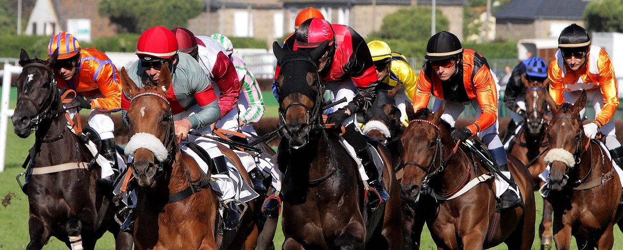 courses-hippiques-l-hippodrome-de-saint-malo