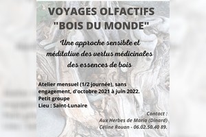 Voyage Olfactif Bois du Monde avec les Huiles Essentielles à Saint-Lunaire