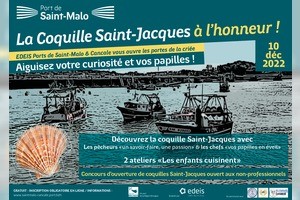 La Coquille Saint-Jacques à l'honneur à Saint-Malo