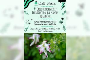 Cycle Herboristerie, Introduction aux plantes de la détox à Saint-Jouan-des-Guérets