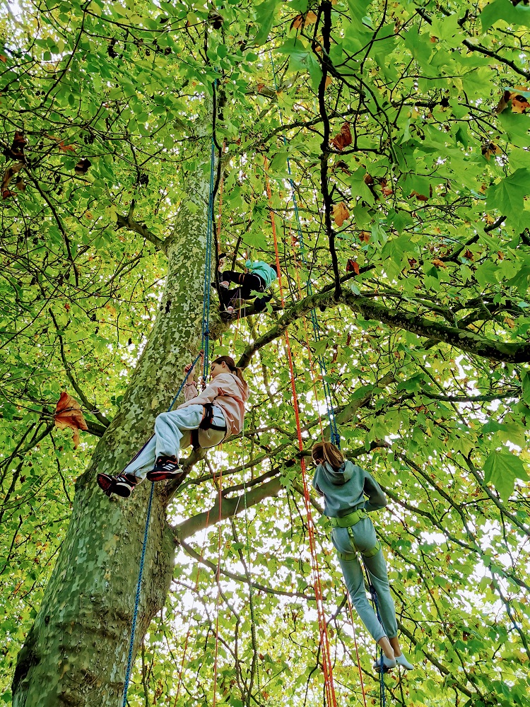 Découverte Balade arborée à Beaussais-sur-mer